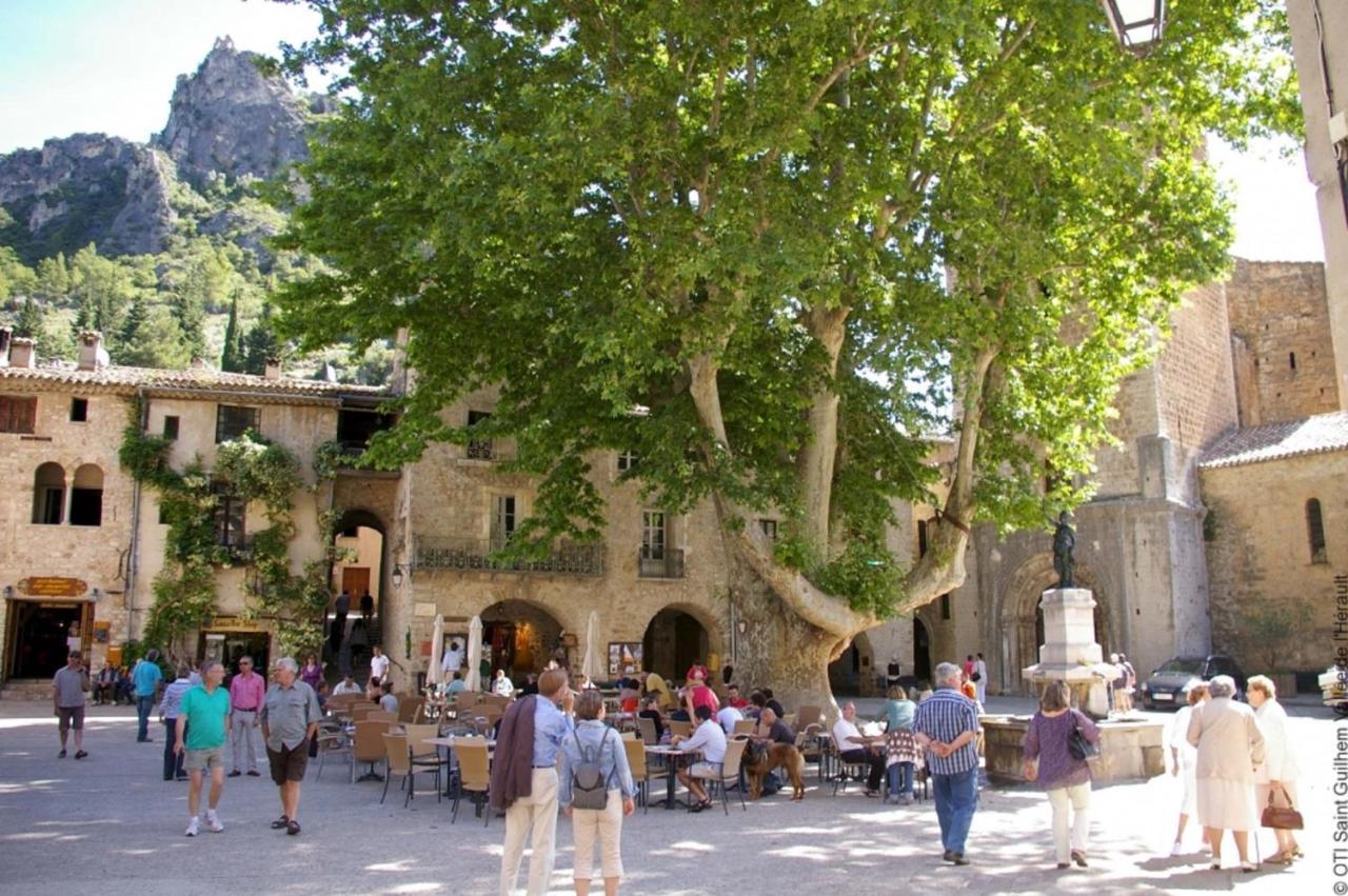 "Belle Etape"-Meuble De Tourisme 3 Etoiles -Residence "Les Logis De Beziers"-Garage Optionnel-Coeur De Ville-Plages A 16Km ! Bagian luar foto